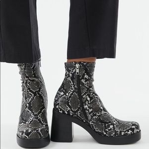 Steve Madden UO Hopper Grey Snake Platform Boots